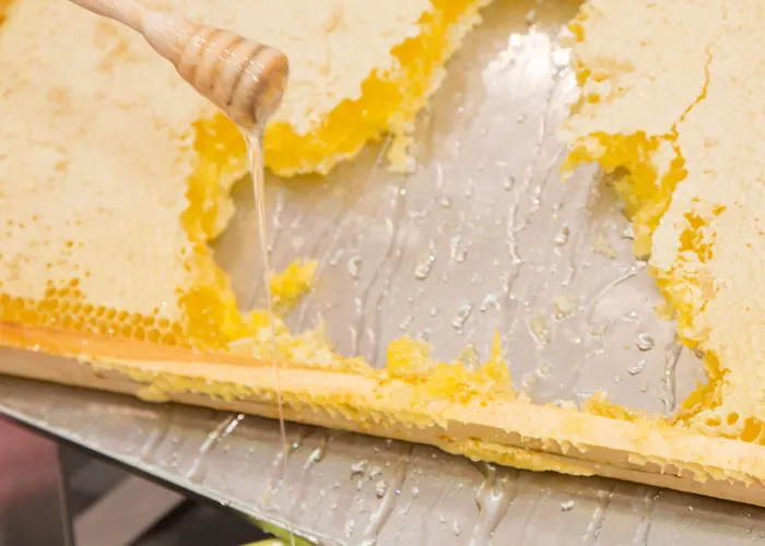 - Fiera By Ihg 4* Bologna